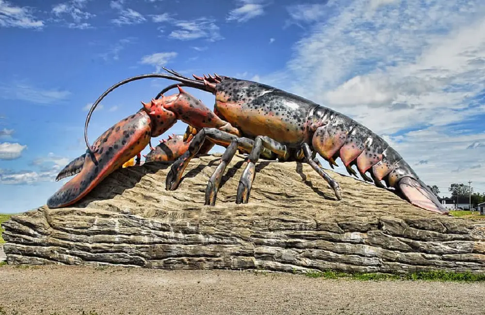 Why Do Lobsters Have Two Different Claws? The Truth
