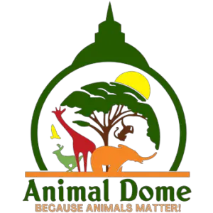 Animal Dome - Because Animals Matter