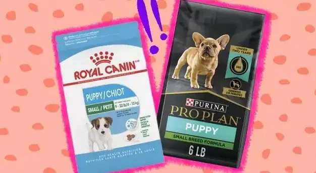 Purina Pro Plan and Royal Canin