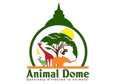 Animal Dome