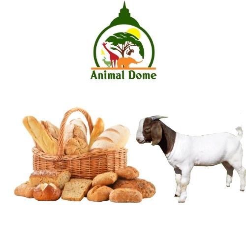 Can Goats Eat Bread?