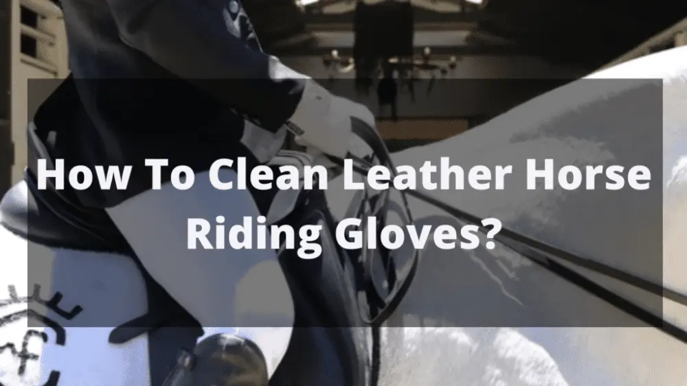How To Clean Leather Horse Riding Gloves?