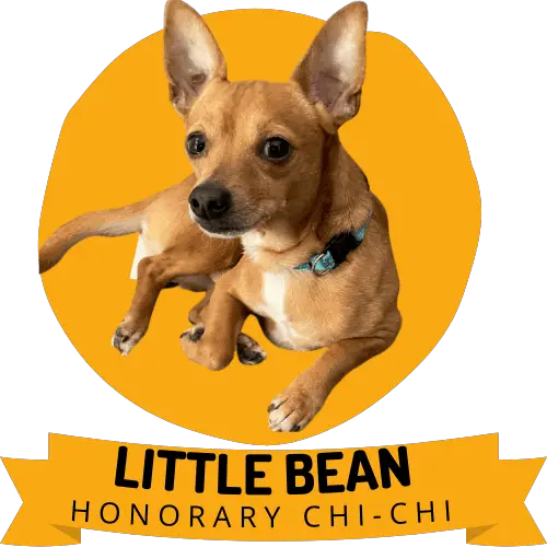 Little Bean - AnimalDome Mascot