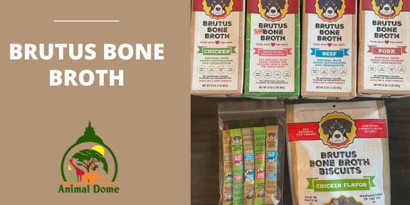 Brutus Bone Broth