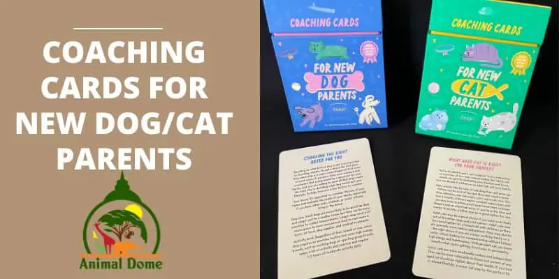Coaching Cards for New DogCat Parents