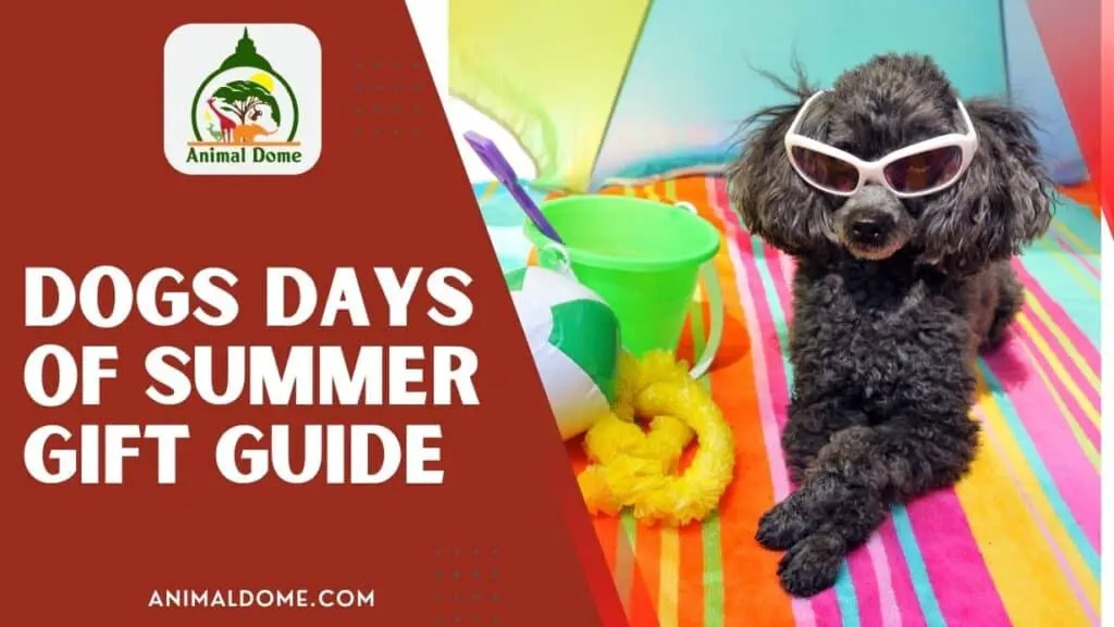 The Dog Days of Summer Gift Guide - Animal Dome