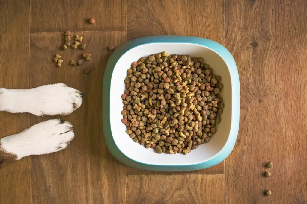 how-many-cups-are-in-a-pound-of-dog-food-animal-dome